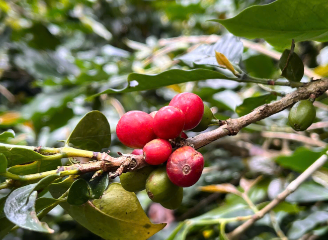 THAM KHẢO HỒ SƠ CẦN THIẾT CHO VIỆC ỦY QUYỀN NHÂN VIÊN NGƯỜI LAO ĐỘNG THANH TOÁN THAY CÔNG TY